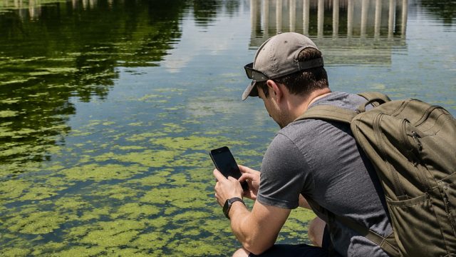 Algae Controversy at Lincoln Memorial Reflecting Pool Sparks Online Buzz | trik main kartu samgong,